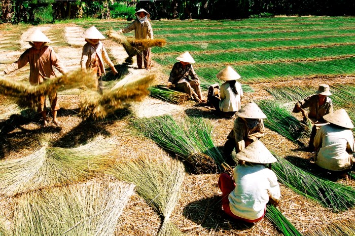 il villaggio di tessitura di stuoie a Nhon Thanh