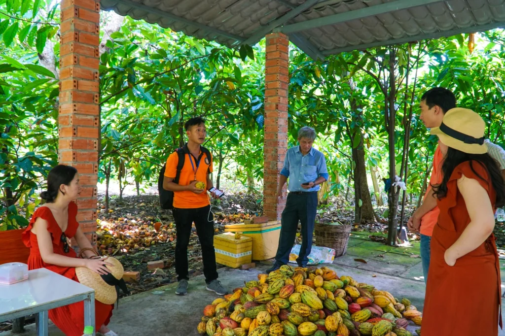 Il Giardino di Cacao Muoi Cuong