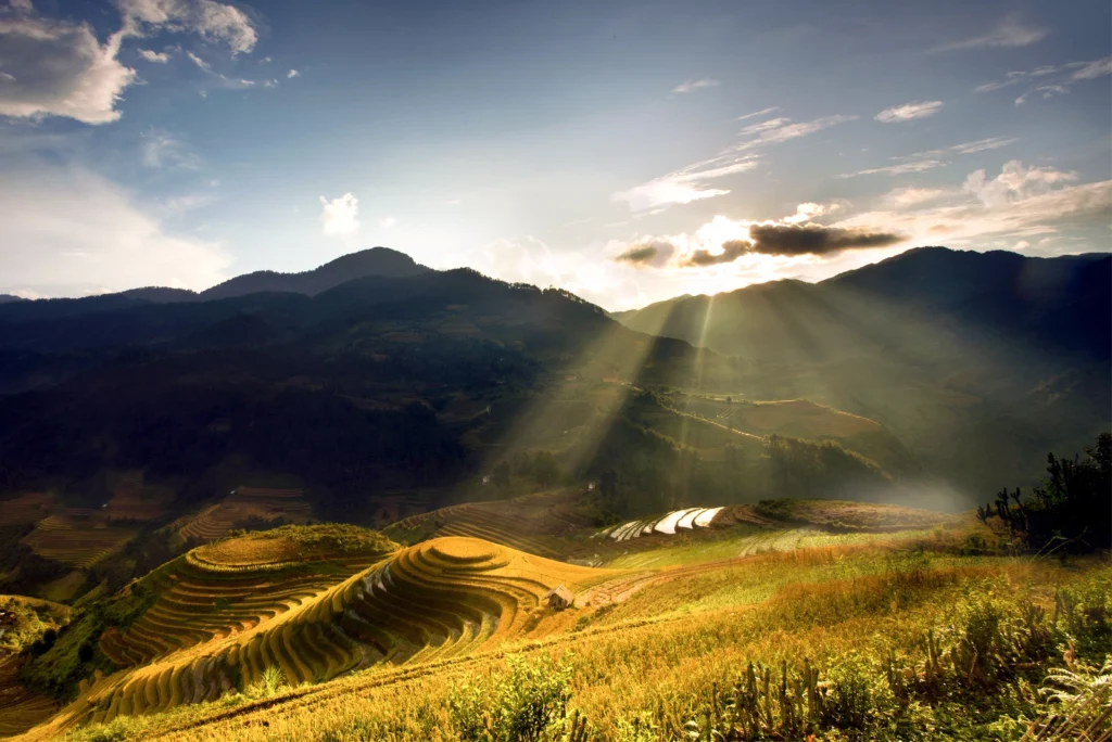 La Collina Mam Xoi a La Pan Tan. Con un clima soleggiato e una macchina fotografica da viaggio, è facile catturare splendide immagini della stagione dorata a Mu Cang Chai.