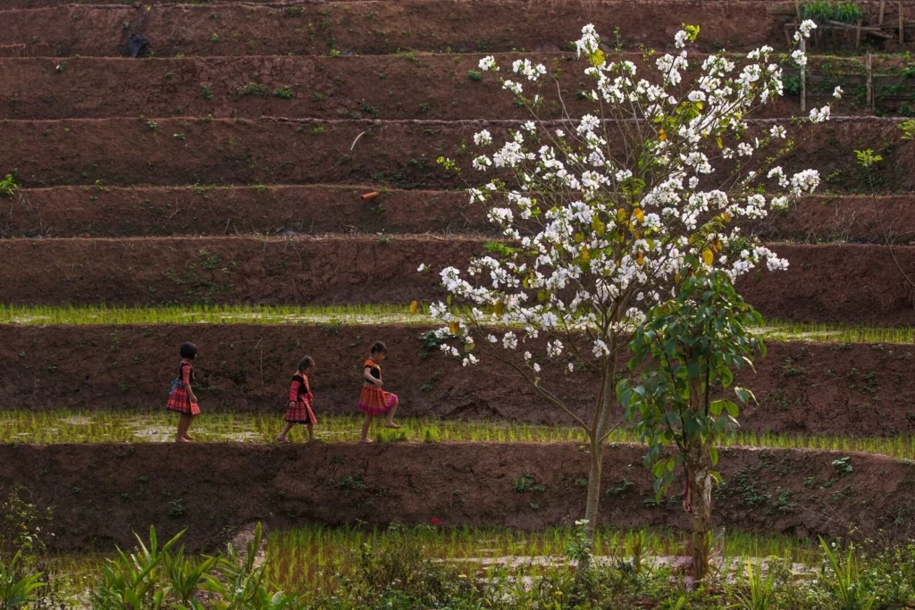 La primavera dei fiori e delle feste (Febbraio - Aprile)