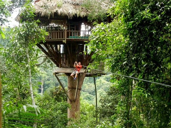 La Gibbon Experience a Bokeo
